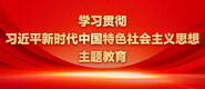 大吊插逼视频学习贯彻习近平新时代中国特色社会主义思想主题教育_fororder_ad-371X160(2)